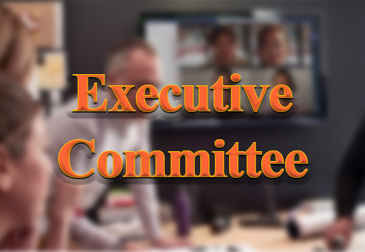 Organization Council